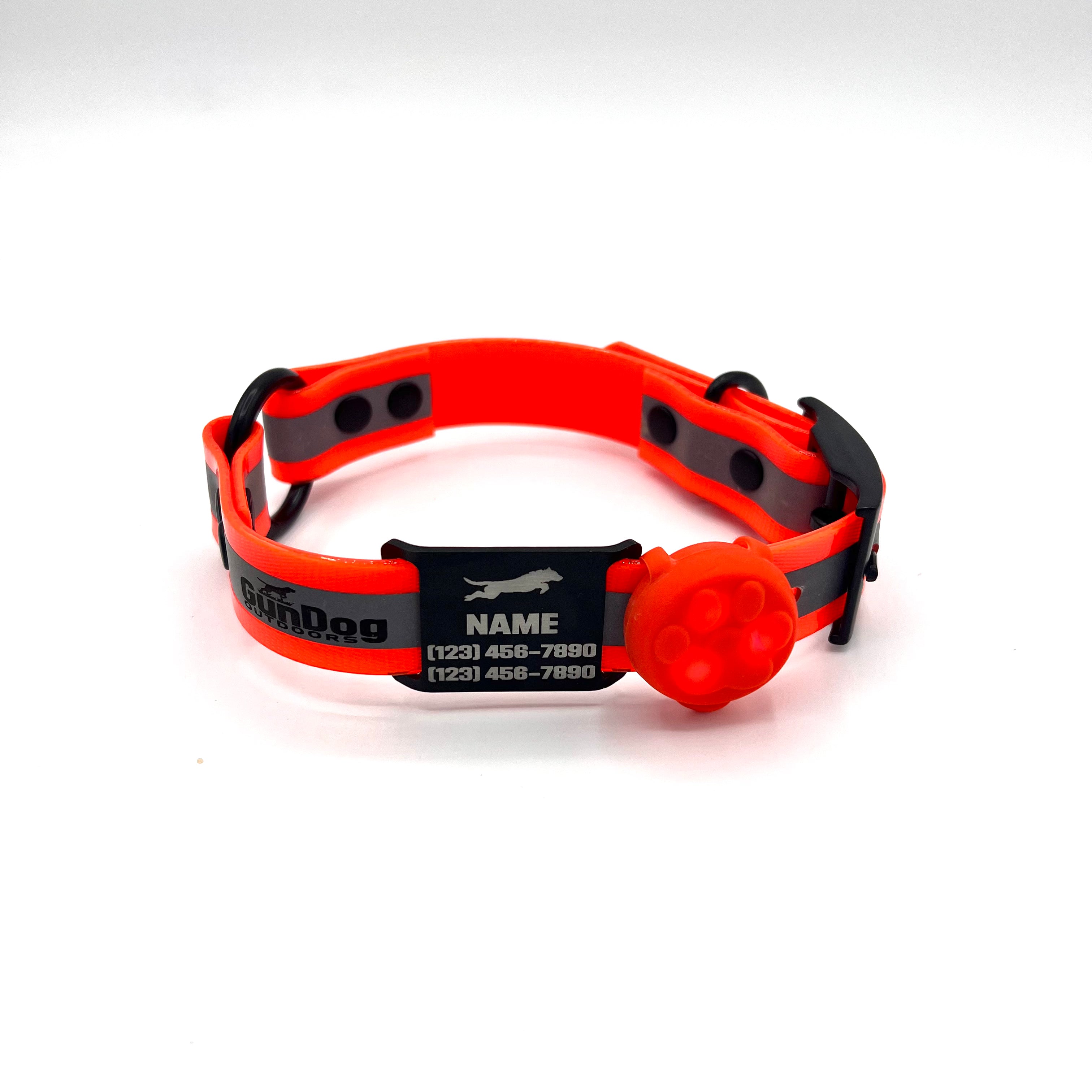 GDO Reflective Collar with Dawg Tag & Light